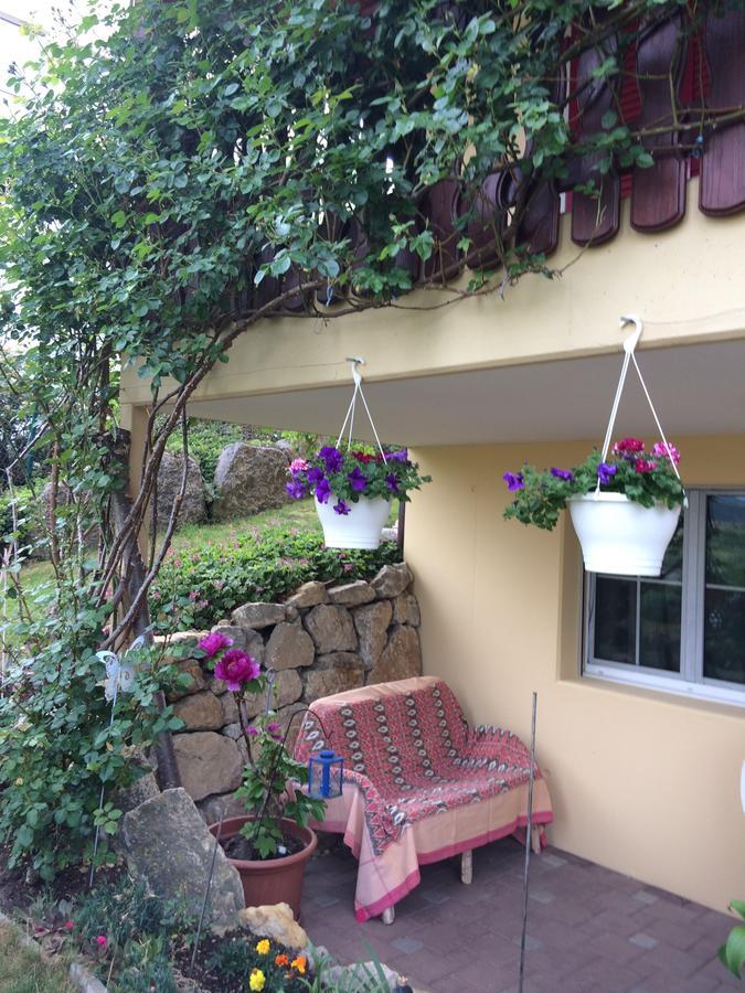 Mona'S Sleep & Go Bed & Breakfast Buren  Dış mekan fotoğraf