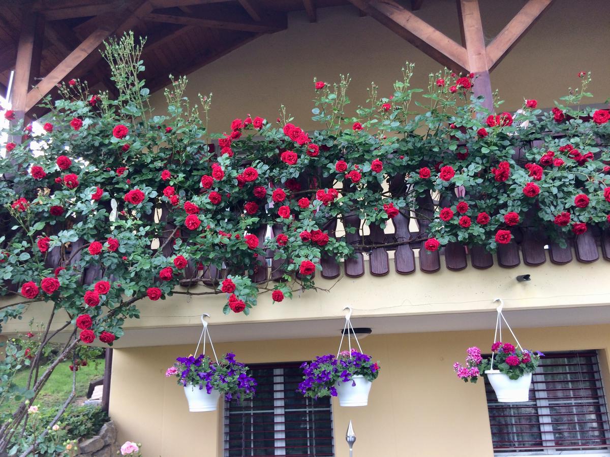 Mona'S Sleep & Go Bed & Breakfast Buren  Dış mekan fotoğraf